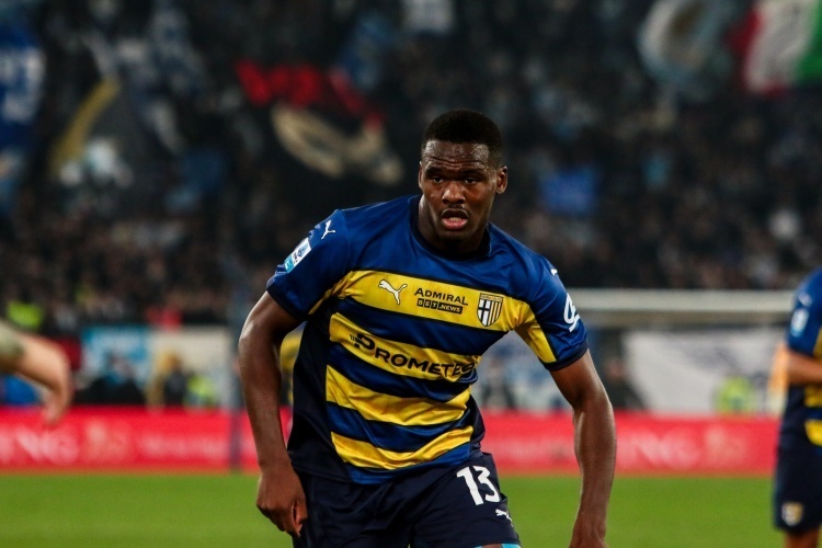 以填补国内 以填补国内