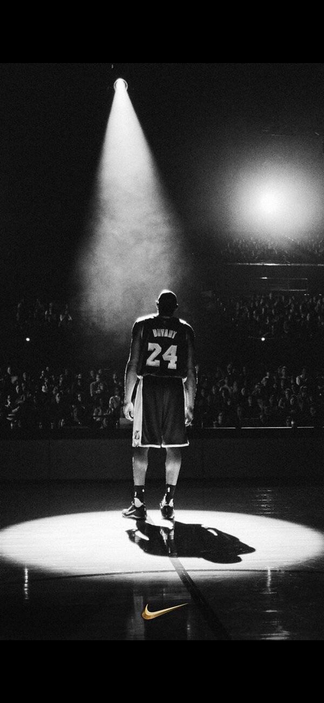 票与外观D 票与外观D